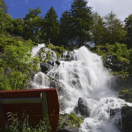 Waldlicht Titisee Kültér fotó