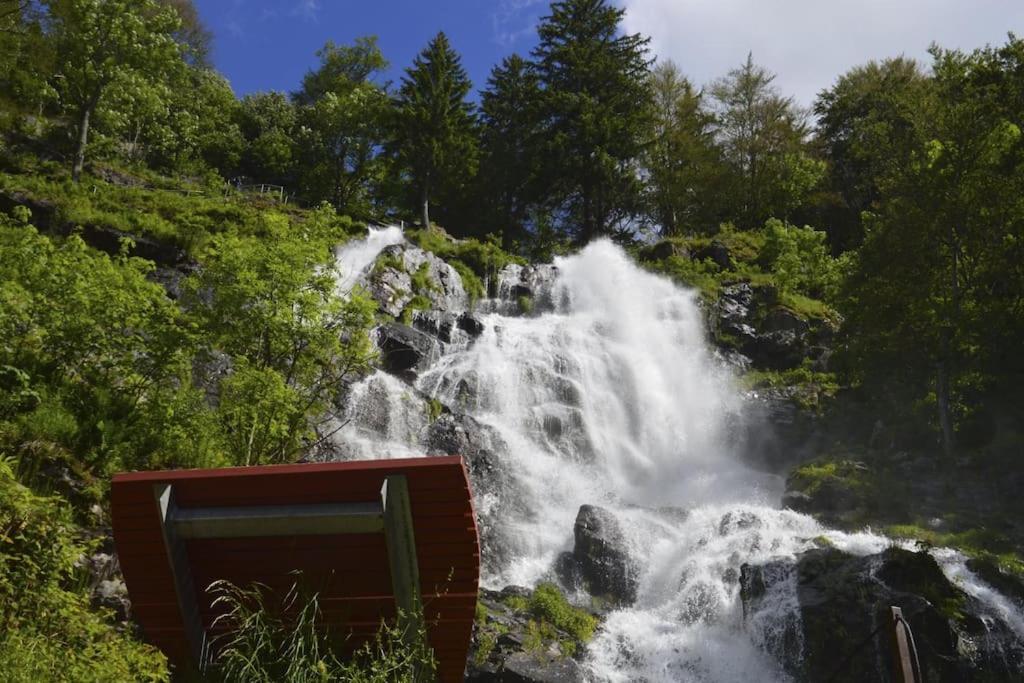 Waldlicht Titisee Kültér fotó