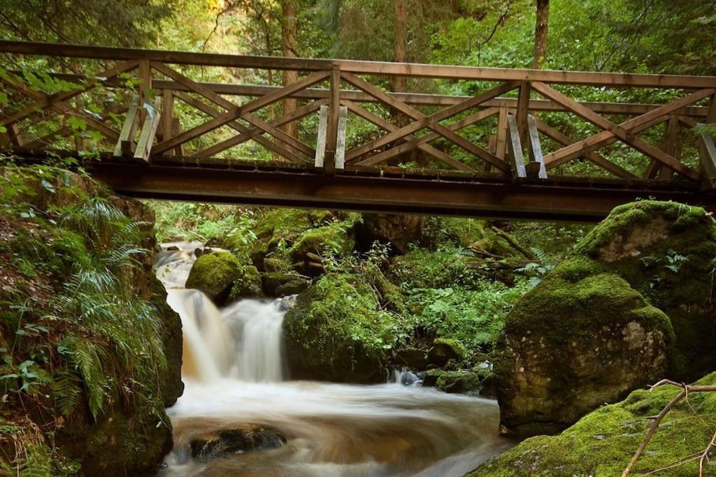 Waldlicht Titisee Kültér fotó