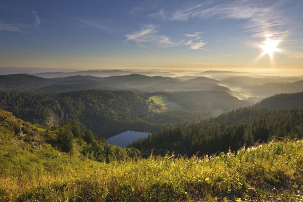 Waldlicht Titisee Kültér fotó