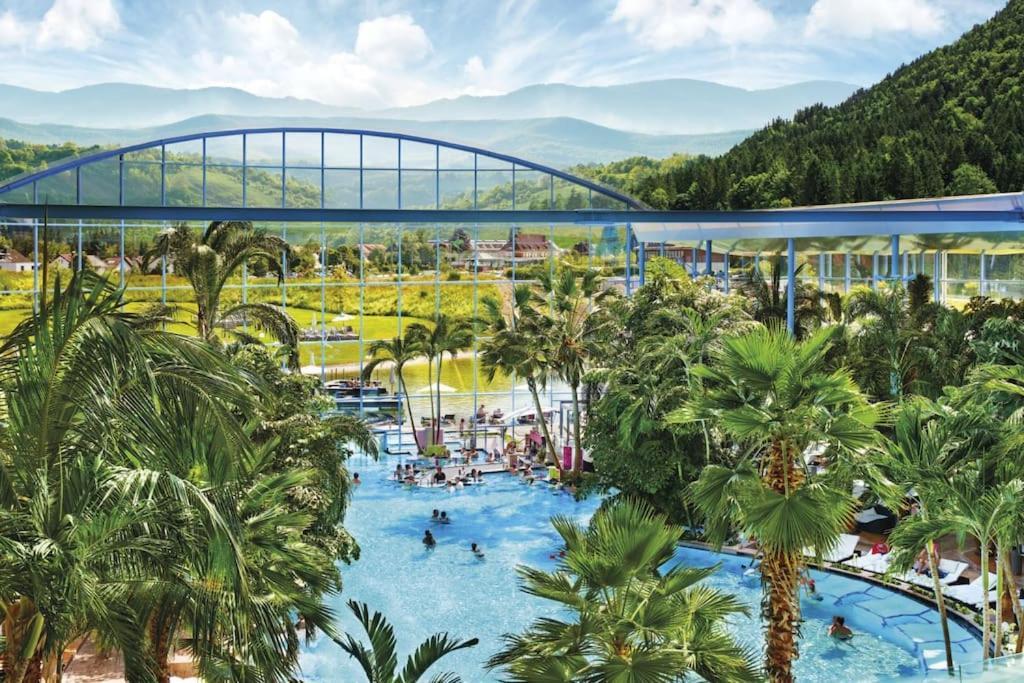 Waldlicht Titisee Kültér fotó