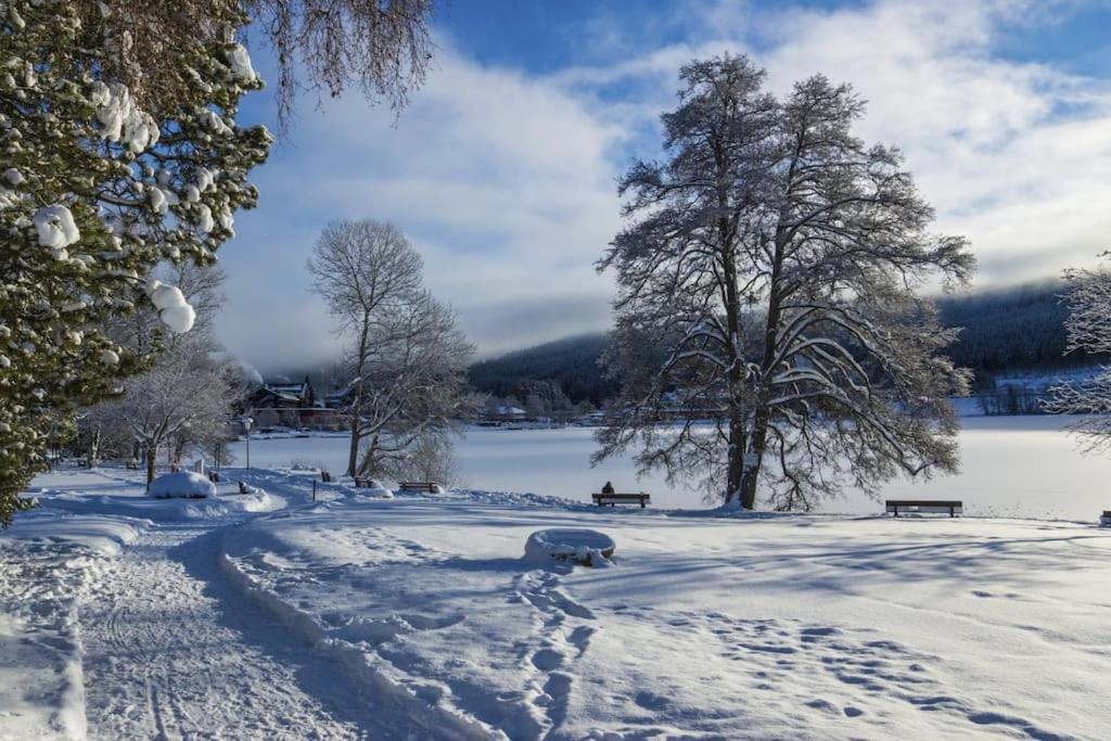 Waldlicht Titisee Kültér fotó