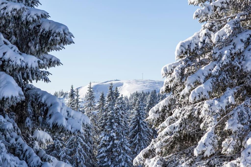Waldlicht Titisee Kültér fotó
