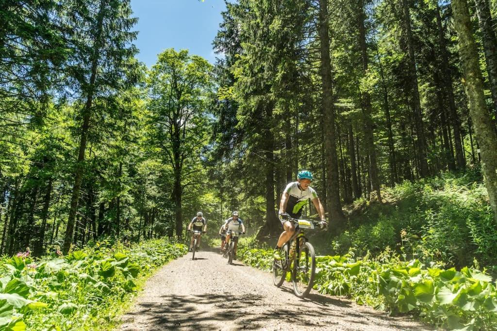 Waldlicht Titisee Kültér fotó