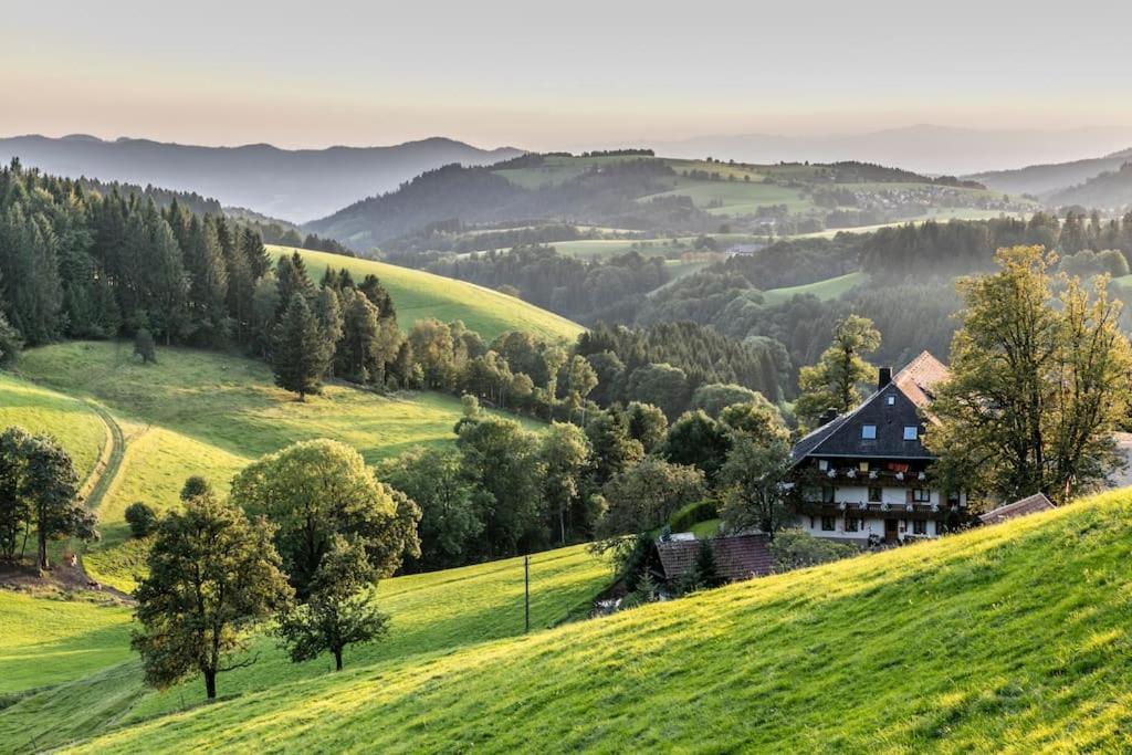 Waldlicht Titisee Kültér fotó