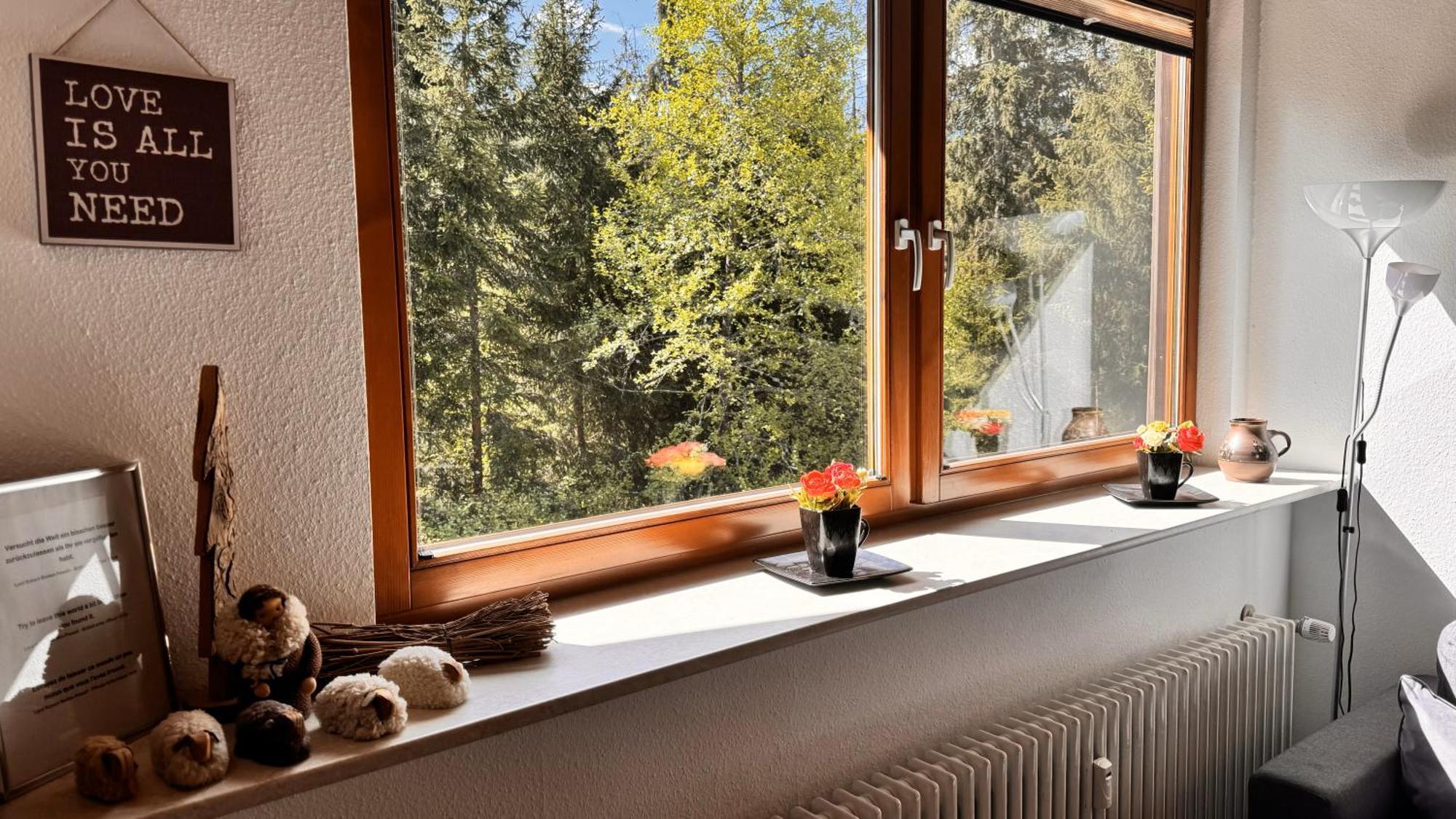 Waldlicht Titisee Kültér fotó